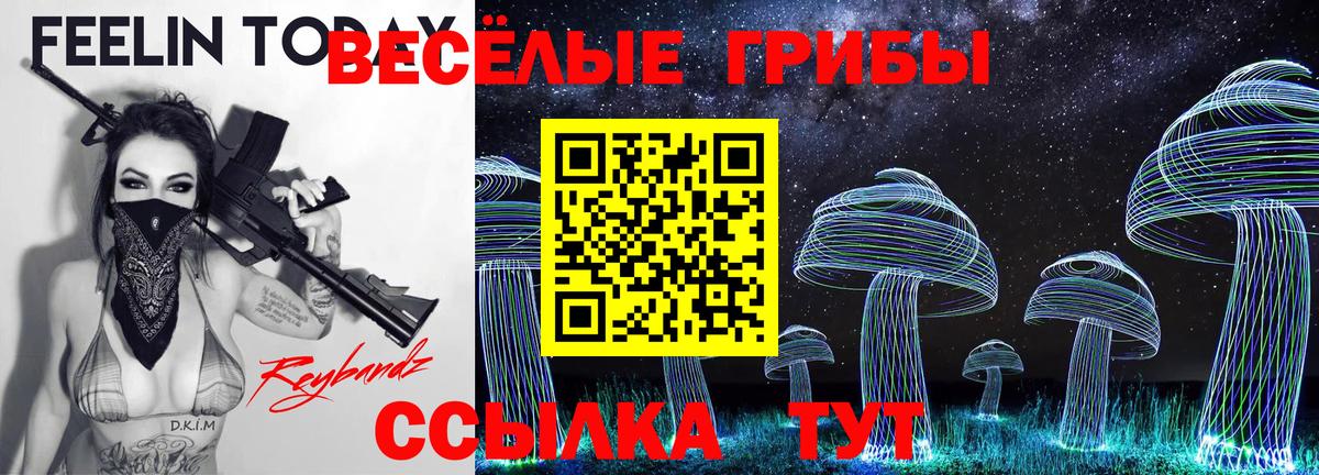 Галлюциногенные грибы мухоморы Ангарск
